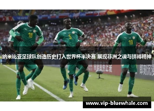 纳米比亚足球队创造历史打入世界杯半决赛 展现非洲之魂与拼搏精神