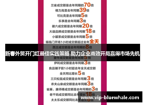 新春外贸开门红最佳实践策略 助力企业高效开局赢得市场先机