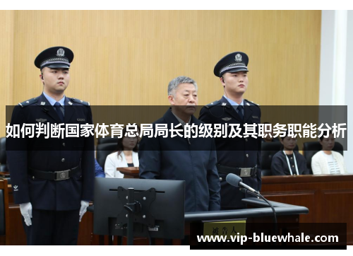 如何判断国家体育总局局长的级别及其职务职能分析
