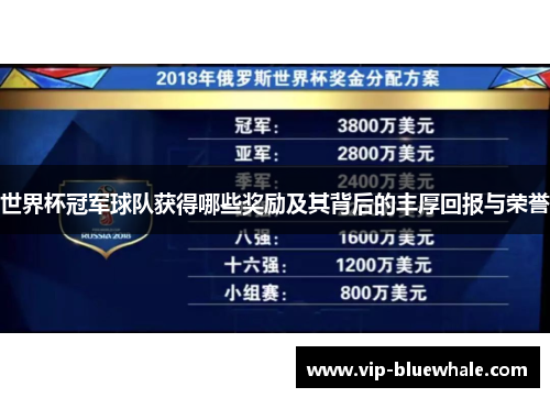 世界杯冠军球队获得哪些奖励及其背后的丰厚回报与荣誉