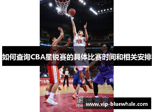 如何查询CBA星锐赛的具体比赛时间和相关安排